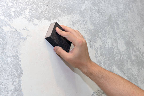 Best Dehumidification Services  in Divernon, IL