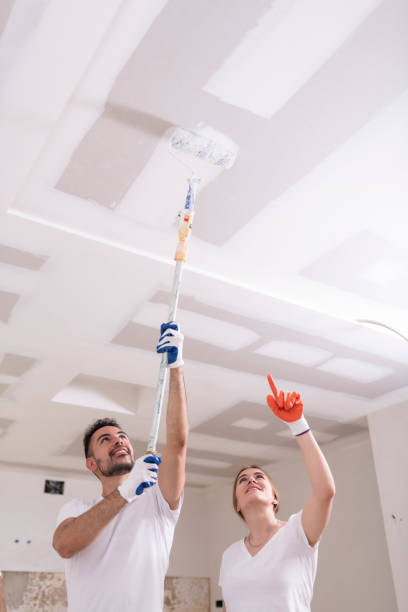 Best Commercial Mold Inspection  in Divernon, IL